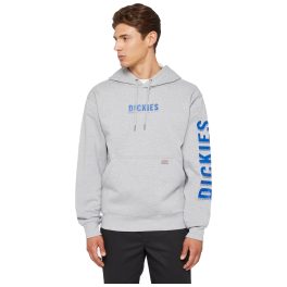 Graphic DWR Hoodie